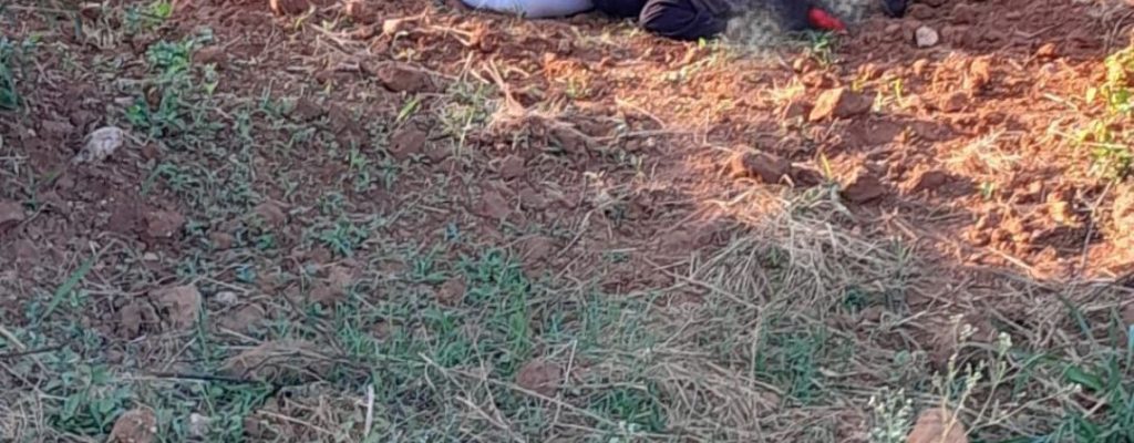 WhatsApp Image 2025-10-01 at 12.27.44